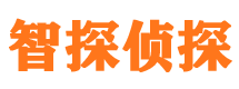 仁化市私家侦探